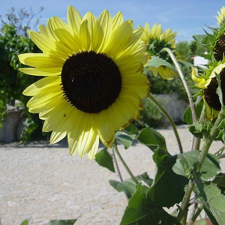 Quinta Da Abrunheira Lägenhet Vimieiro  Exteriör bild